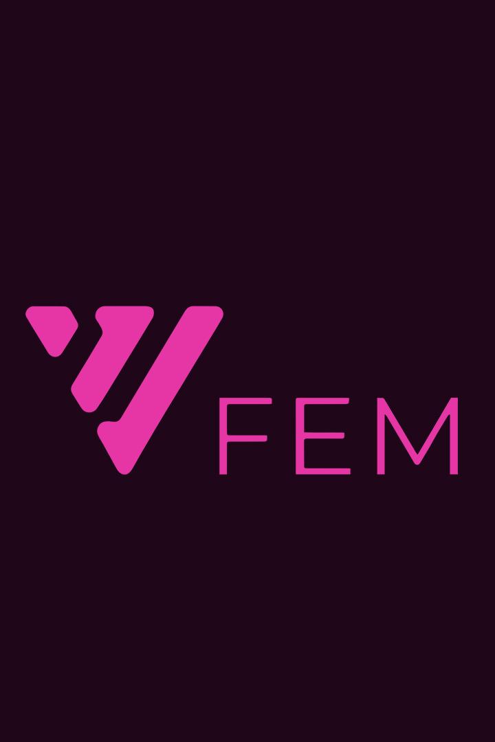 V1 Fem (v1-fem) Другое
