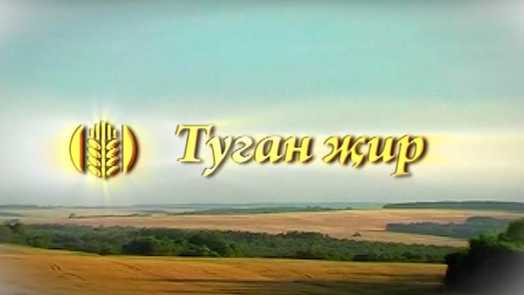 Постер Туган җир