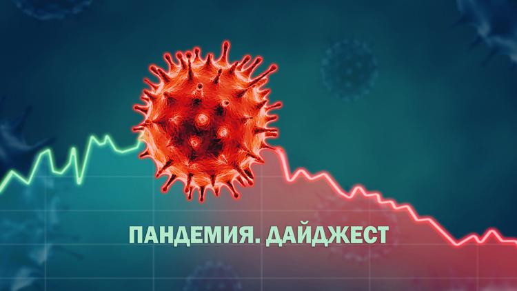 Постер Пандемия. Дайджест