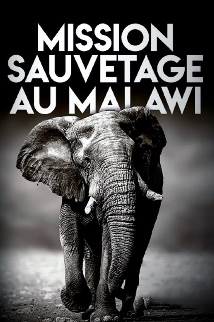 Mission sauvetage au Malawi (mission-sauvetage-au-malawi) Познавательное