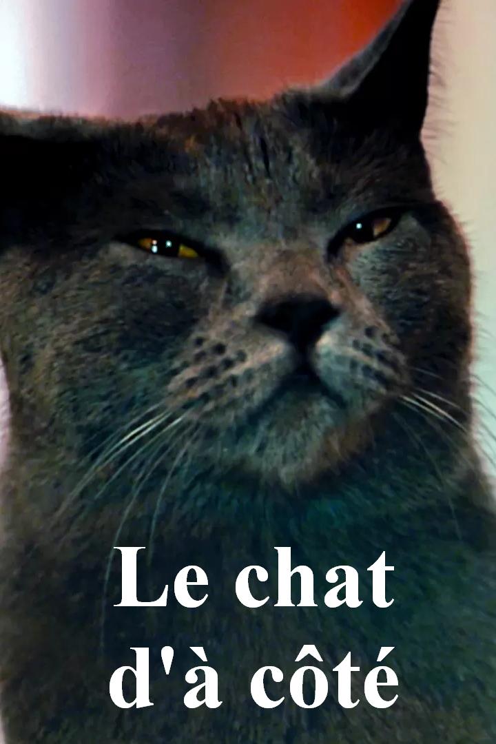Le chat d'à côté (le-chat-d-ct) Фильм 2020