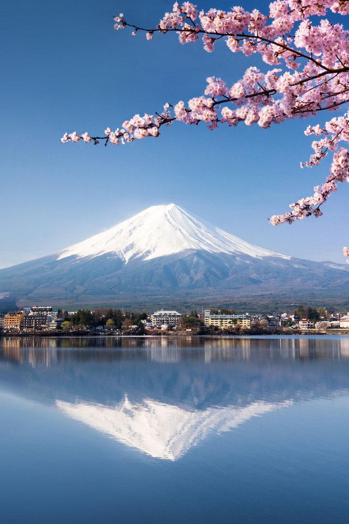Япония сегодня (japonija-segodnja) Познавательное