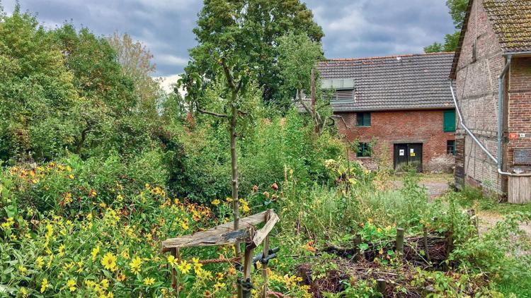 Постер Ein Tag im Sommergarten