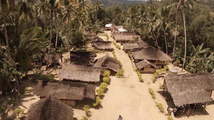 Постер Papua-Neuguinea: Baumkängurus im roten Bereich