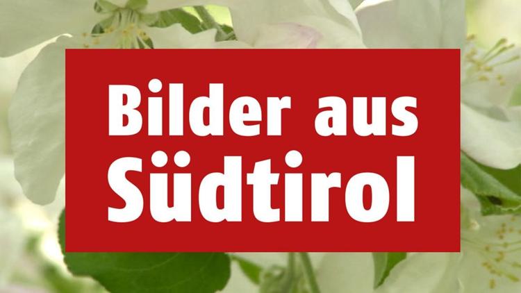 Постер Bilder aus Südtirol