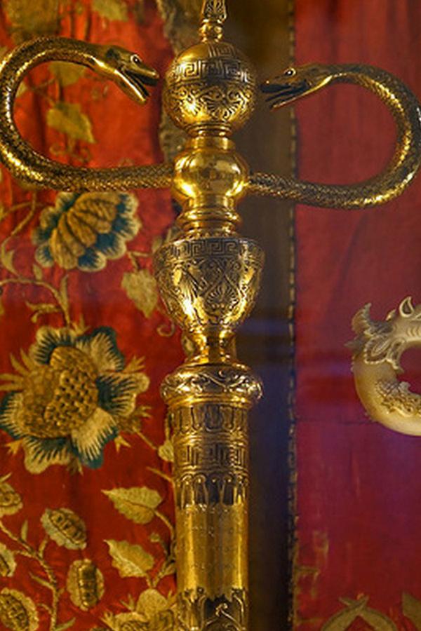 Գավազանակիրը Познавательное