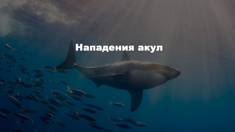 Постер Нападения акул