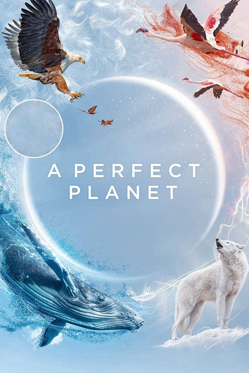 Perfect Planet (perfect-planet) Документальный сериал