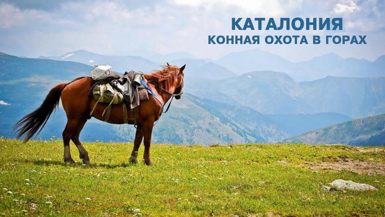 Постер Каталония. Конная охота в горах