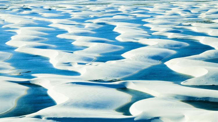 Постер The Flooded Desert