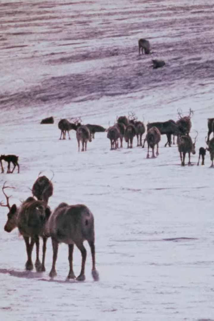 Земля предков (zemlja-predkov) Документальный фильм