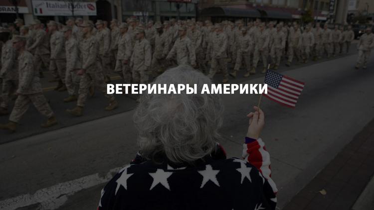 Постер Ветеринары Америки