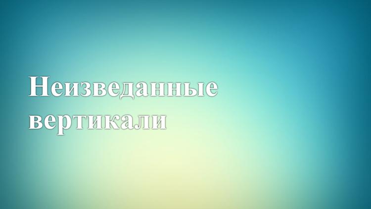 Постер Неизведанные вертикали