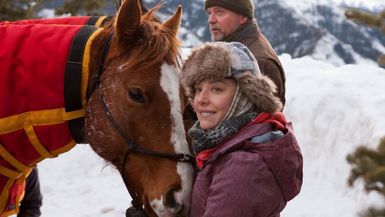 Постер The Horses of McBride