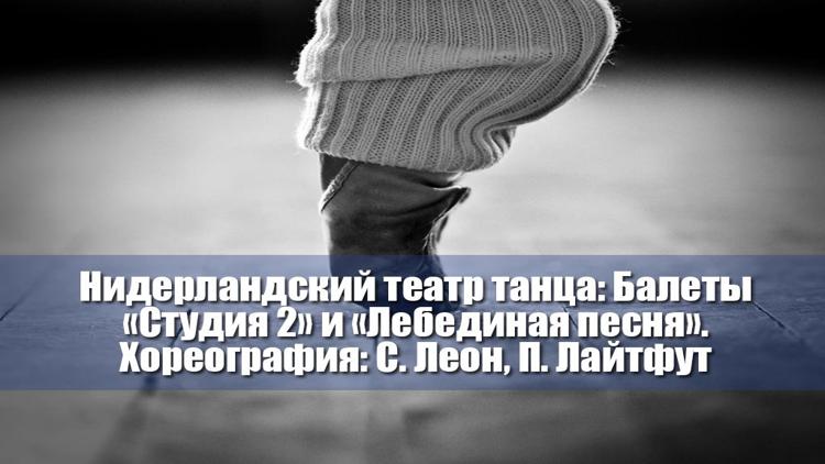 Постер Нидерландский театр танца: Балеты «Студия 2» и «Лебединая песня». Хореография: С. Леон, П. Лайтфут