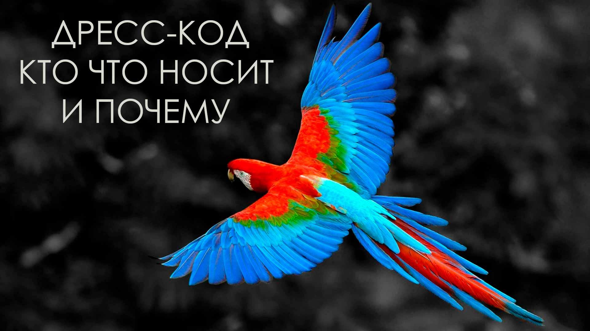 Дресс-код. Кто что носит и почему (dress-kod-kto-chto-nosit-i-pochemu) Документальный фильм