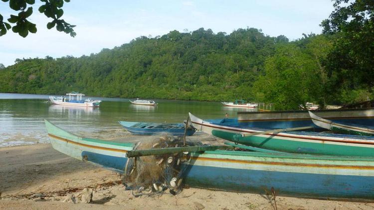 Постер Les Moluques, îles aux épices