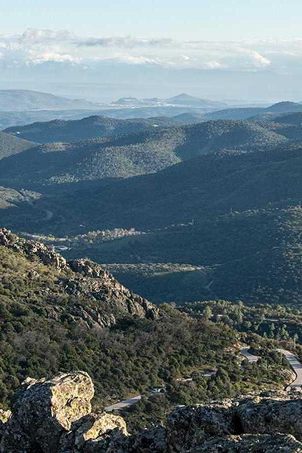 Los habitantes ocultos de Sierra Morena (los-habitantes-ocultos-de-sierra-morena) Познавательное