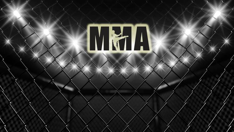 Постер ММА. Open Fighting Championship 2