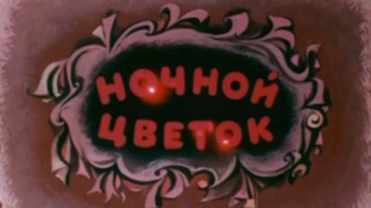 Постер Ночной цветок