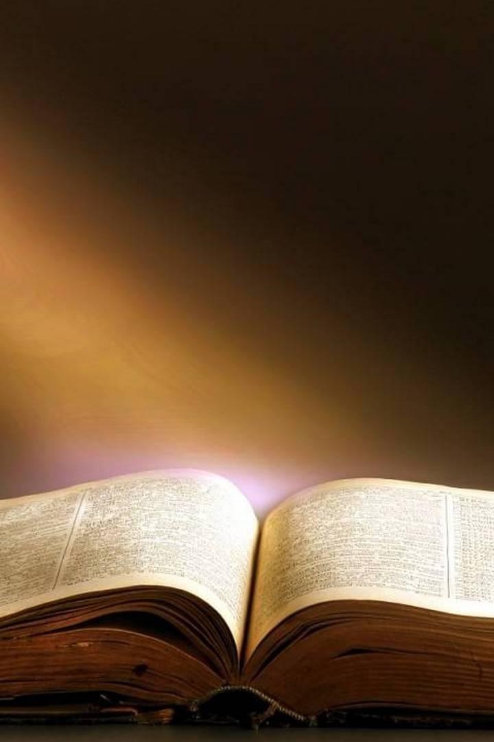 Евангелие глазами авторов (evangelie-glazami-avtorov) Познавательное