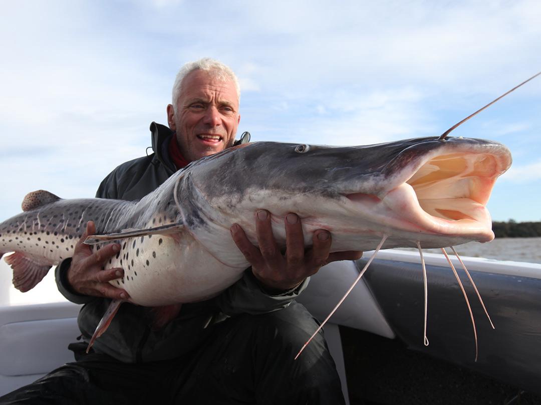 Речные монстры: логово гигантов (rechnye-monstry-logovo-gigantov) Познавательное