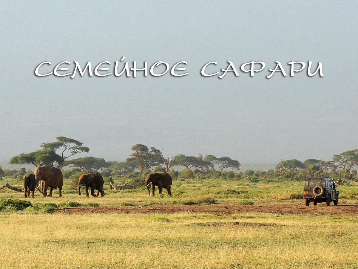 Семейное сафари (semejnoe-safari) Документальный сериал