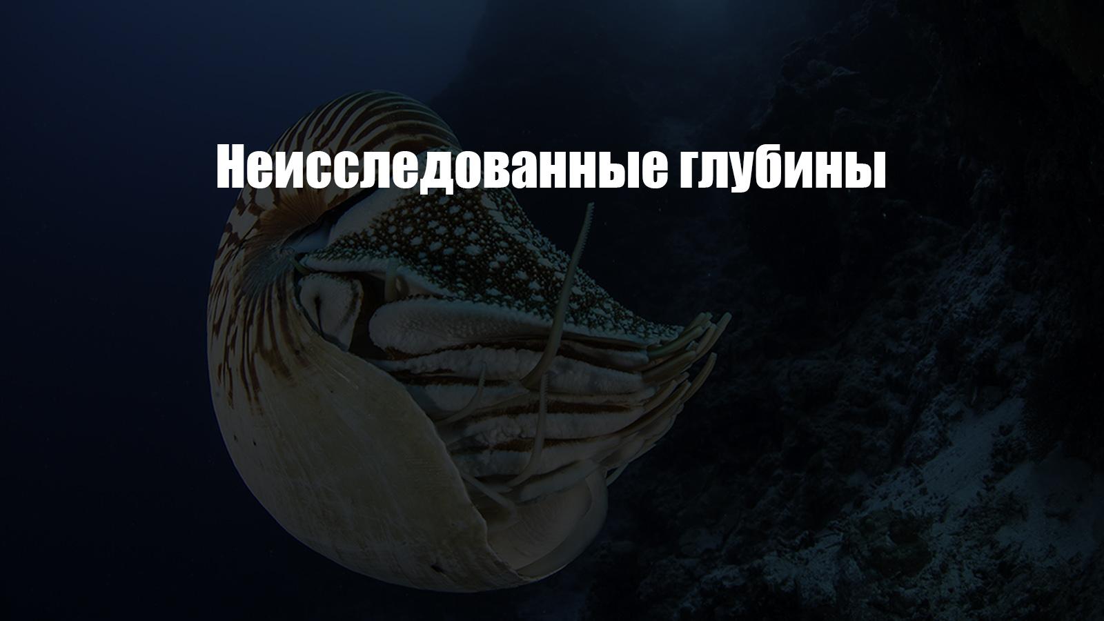 Неисследованные глубины (neissledovannye-glubiny) Документальный сериал