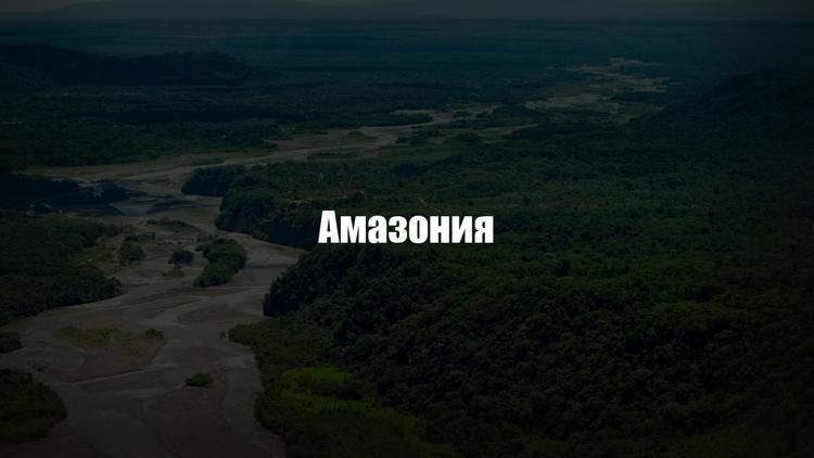 Постер Амазония