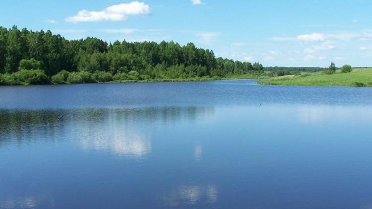 Постер Огляди водоймів