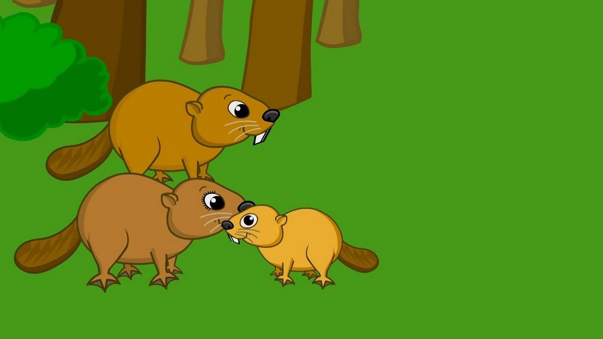 Beaver Family (beaver-family) Познавательное