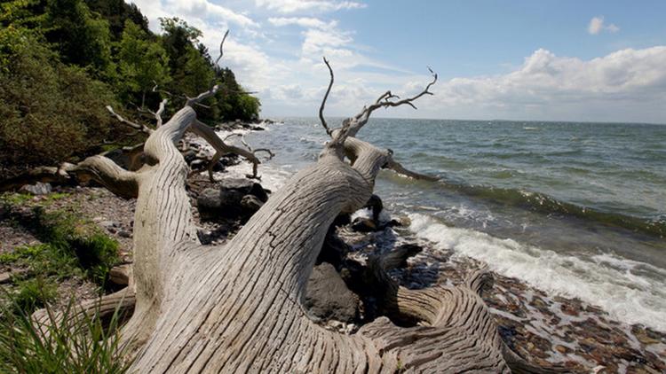 Постер Die Ostsee