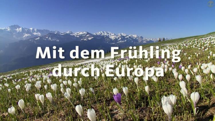 Постер Mit dem Frühling durch Europa