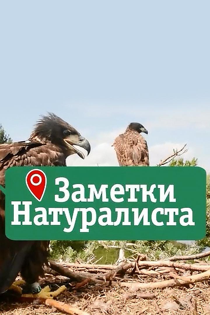 Заметки натуралиста (zametki-naturalista) Познавательное