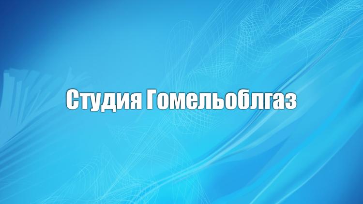 Постер Студия Гомельоблгаз