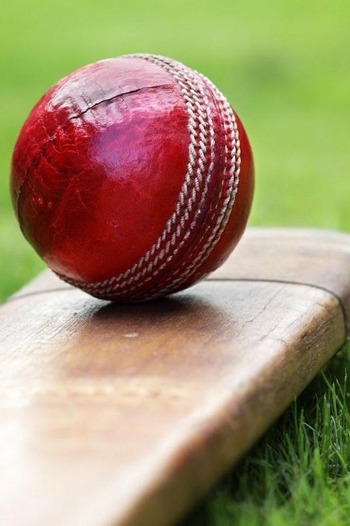 Talking Cricket (talking-cricket) Досуг, хобби