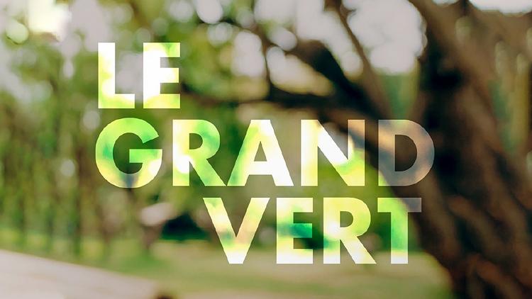 Постер Le grand vert