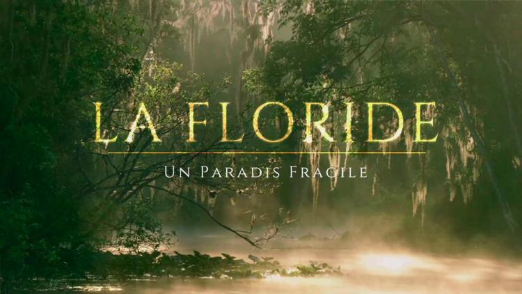 Постер La Floride, un paradis fragile