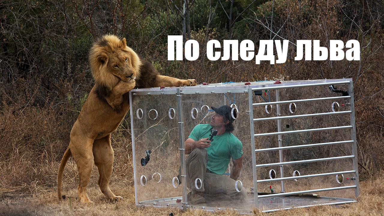 По следу льва (po-sledu-lva) Документальный фильм