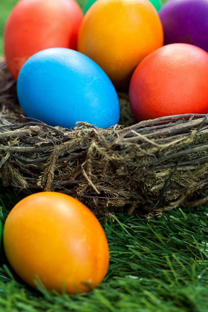Easter Eggs (easter-eggs) Фильм 2020