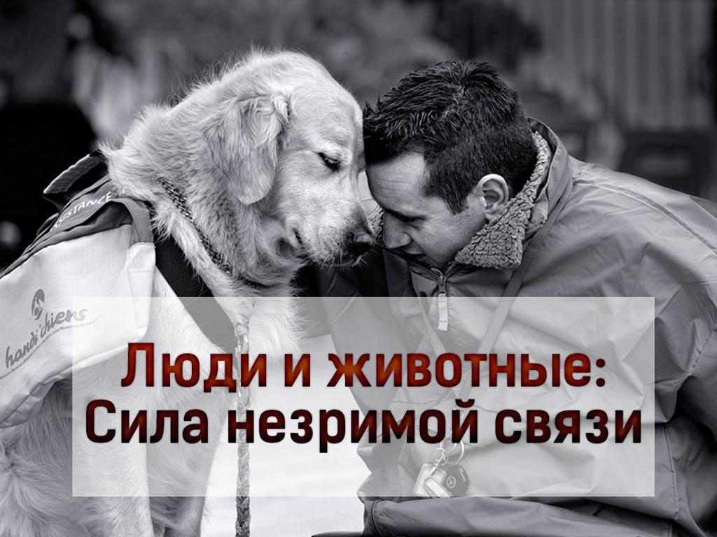 Люди и животные: Сила незримой связи (ljudi-i-zhivotnye-sila-nezrimoj-svjazi) Документальный фильм