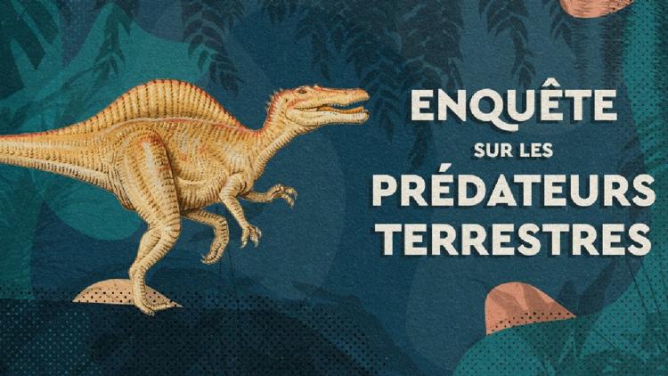 Постер Enquête sur les prédateurs terrestres