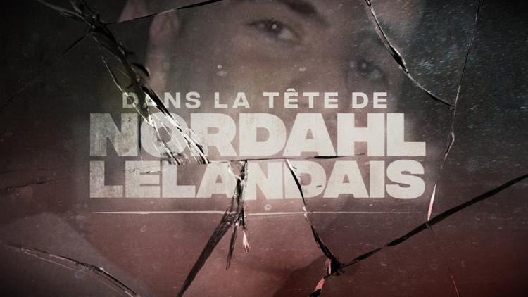 Постер Dans la tête de Nordahl Lelandais