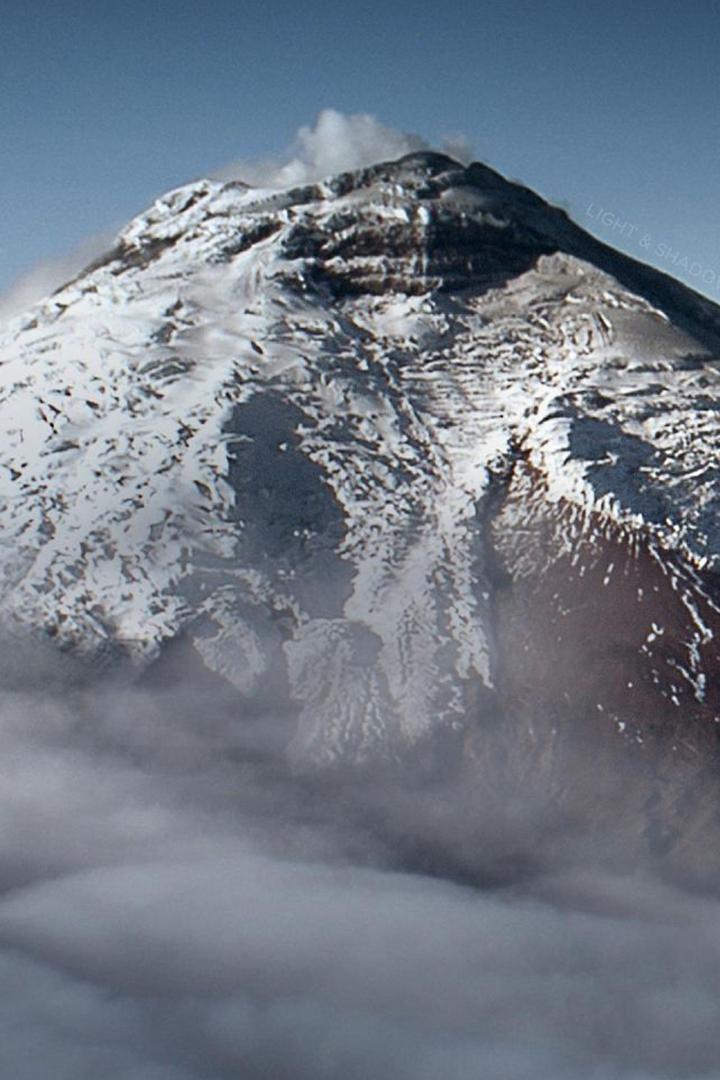 Untamed Andes (untamed-andes) Документальный фильм