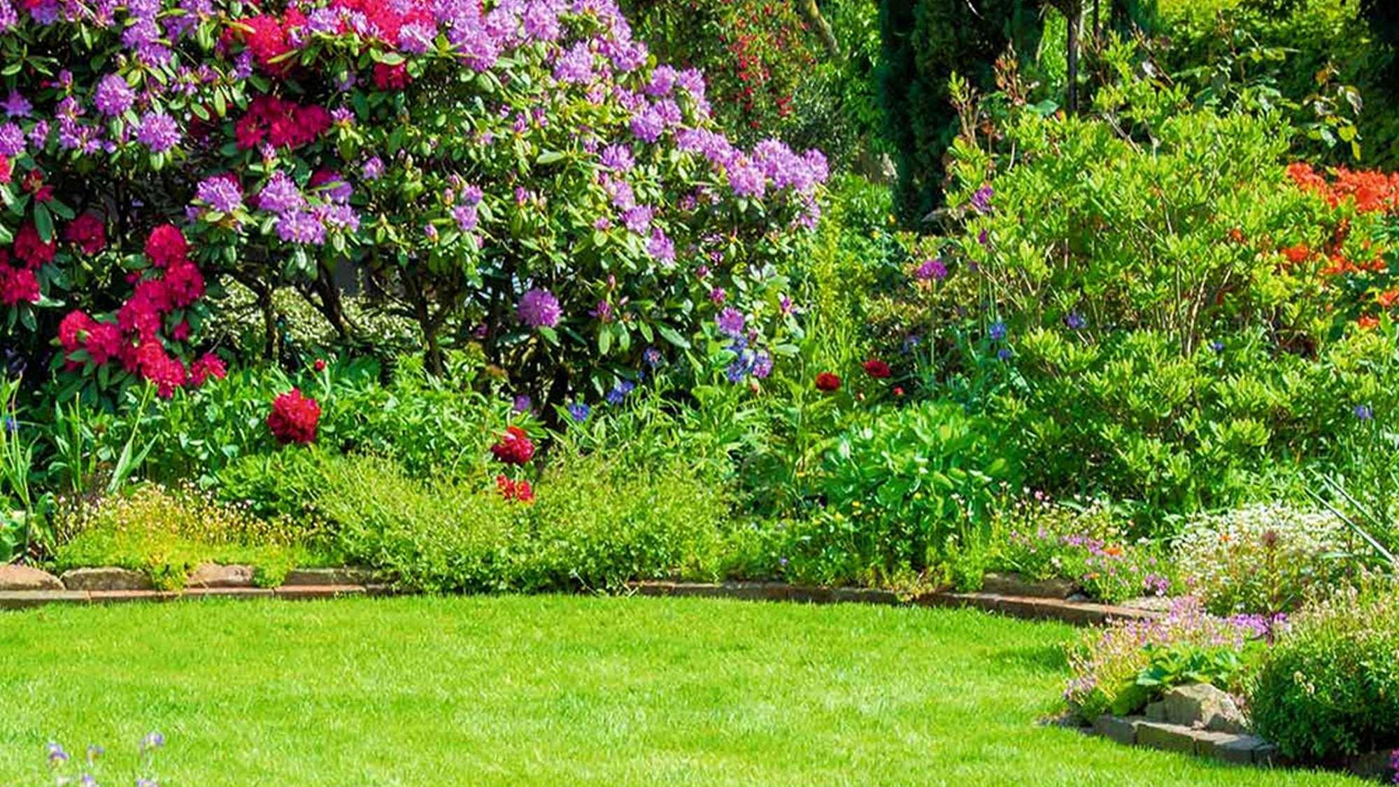 Garten Eden (garten-eden) Документальный сериал