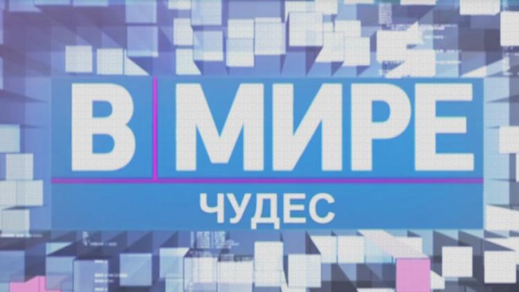 Постер В мире чудес