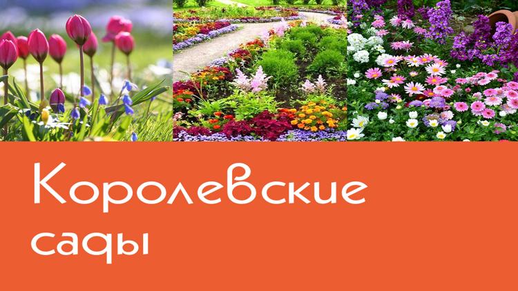 Постер Королевские сады