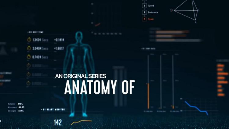 Постер Anatomy of