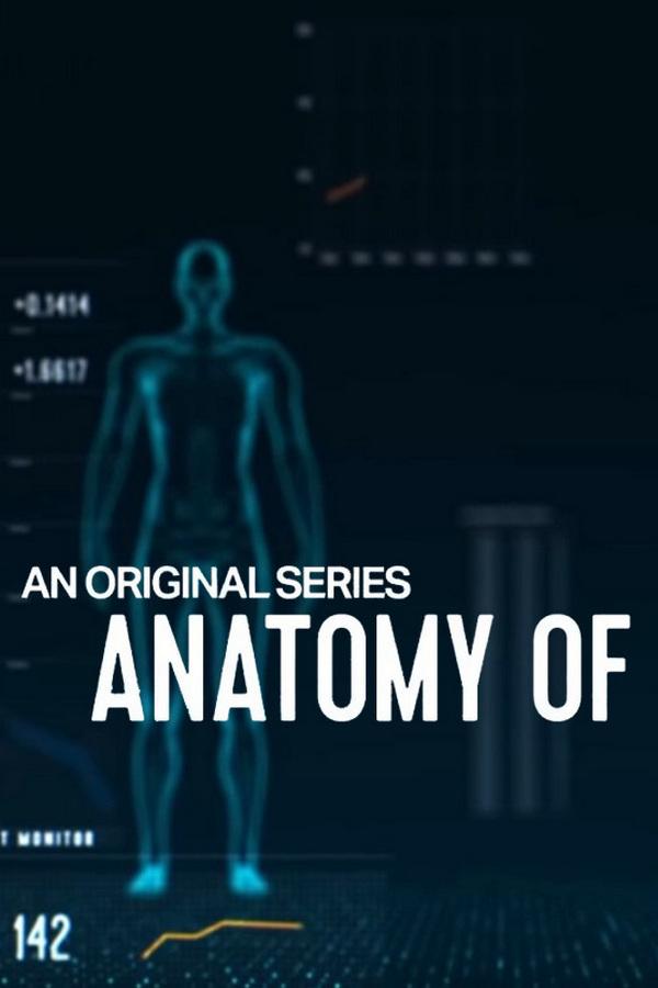 Anatomy of an Ice Hockey Player and a Steeplechaser (anatomy-of-an-ice-hockey-player-and-a-steeplechaser) Познавательное