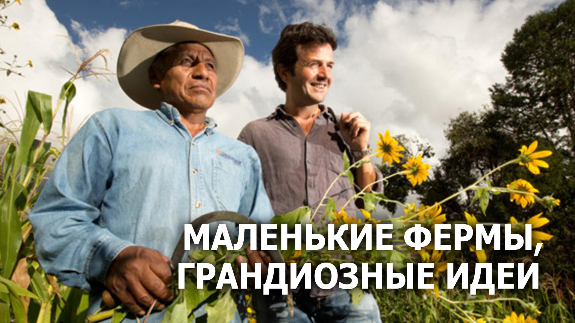 Маленькие фермы, грандиозные идеи (malenkie-fermy-grandioznye-idei) Документальный сериал